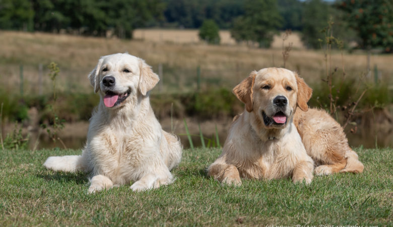 Greta & Jack